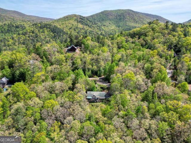 House for sale in Hiawassee, Georgia