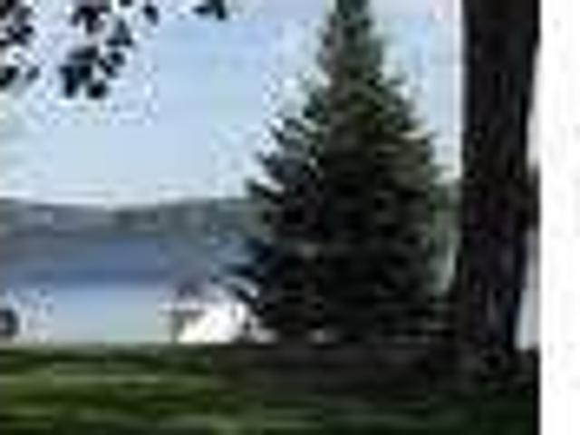 House for rent in Land O Lakes, Florida