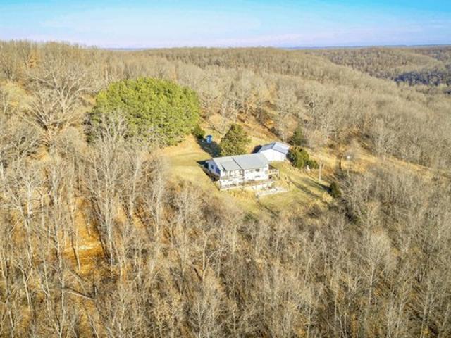 Farm for sale in Pineville, Missouri