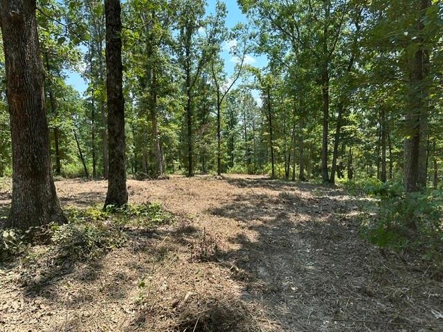 Land for sale in Tennessee
