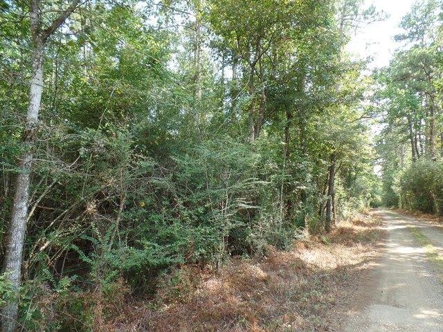 Land for sale in Newton, Texas