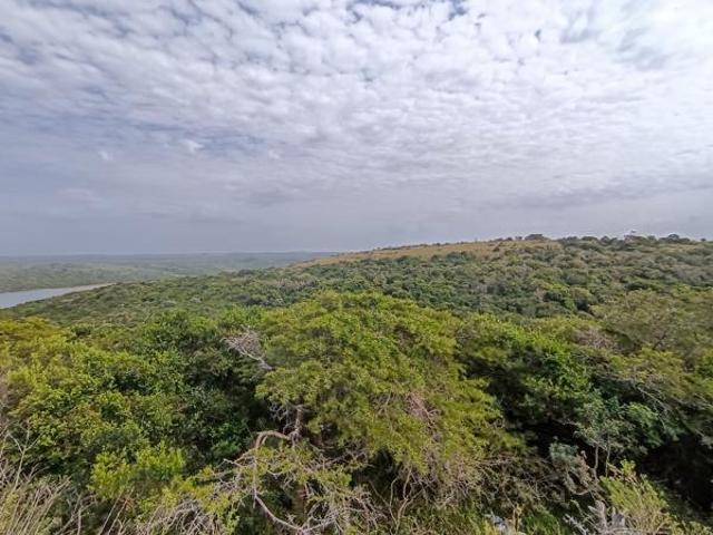 Land for sale in Bushmans River Mouth, Eastern Cape