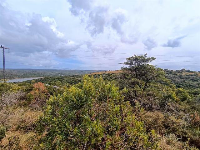Land for sale in Bushmans River Mouth, Eastern Cape