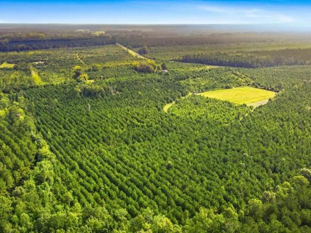 Land for sale in Vanceboro, North Carolina