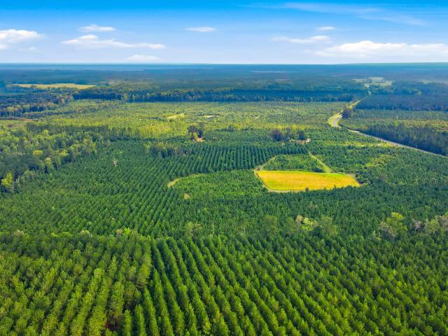 Land for sale in Vanceboro, North Carolina