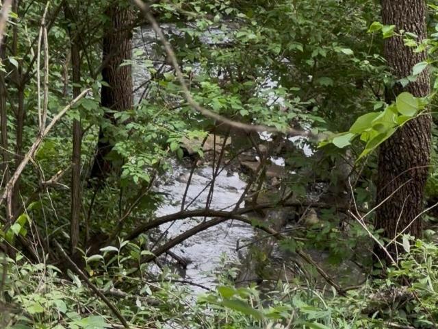 Land for sale in Eminence, Henry County
