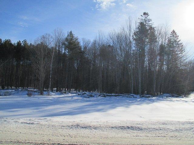 Land for sale in Poland, Maine