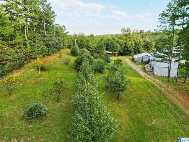 Land for sale in Jemison, Chilton County
