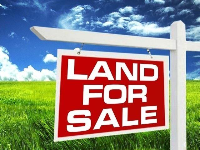 Land for sale in Jefferson, Texas