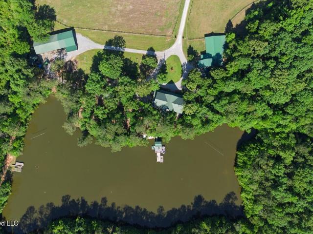 House for sale in Camden, Alabama