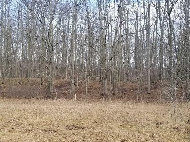 Property for sale in Methuen, Ontario