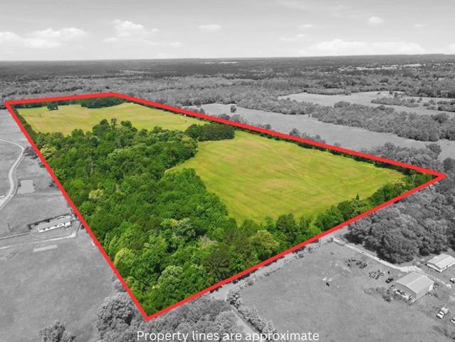 Farm for sale in Big Sandy, Texas