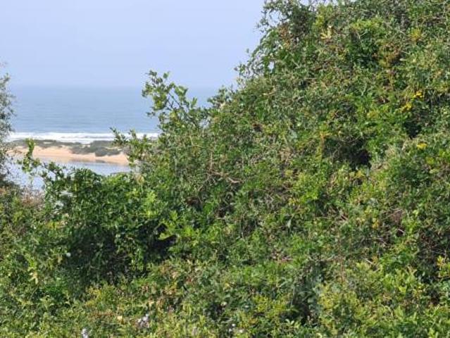 Land for sale in Bushmans River Mouth, Eastern Cape