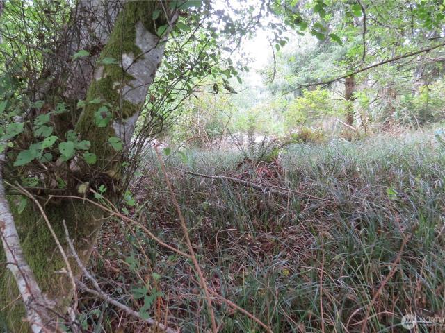 Land for sale in Ocean Shores, Washington