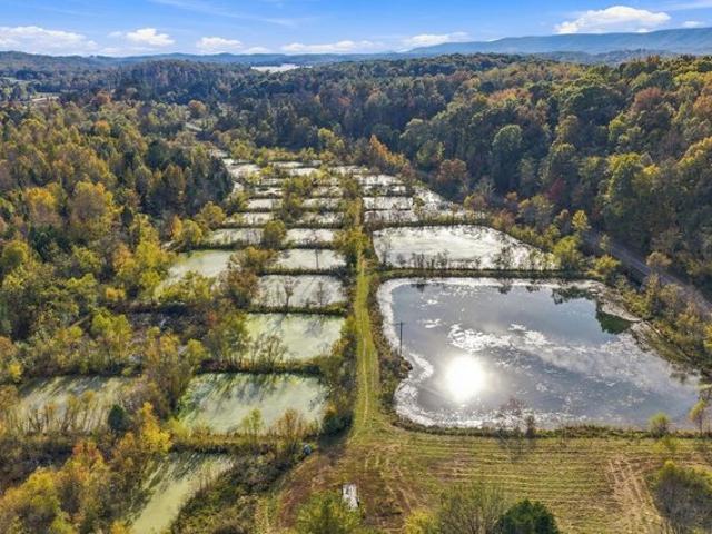 Farm for sale in Spring City, East Tennessee