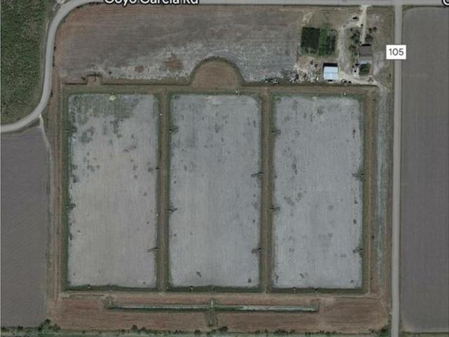 Land for sale in Raymondville, Texas