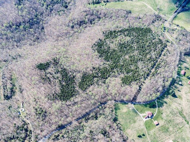 Land for sale in Big Clifty, Kentucky