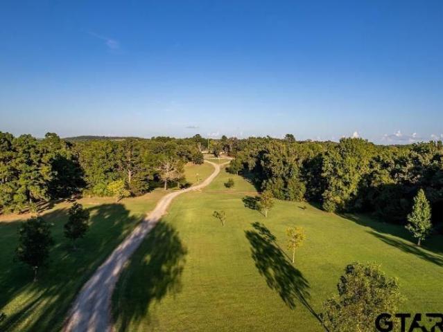 House for sale in Ben Wheeler, Texas