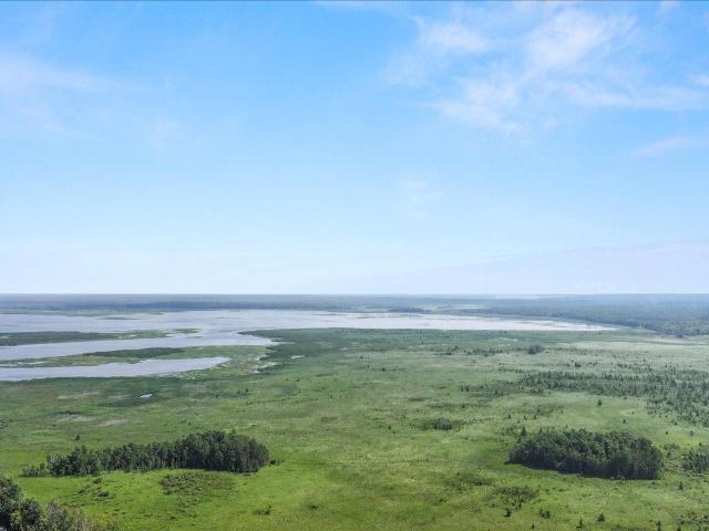 Land for sale in Longville, Minnesota