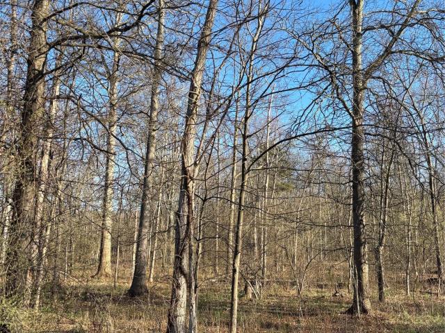 Land for sale in Gardiner, New York