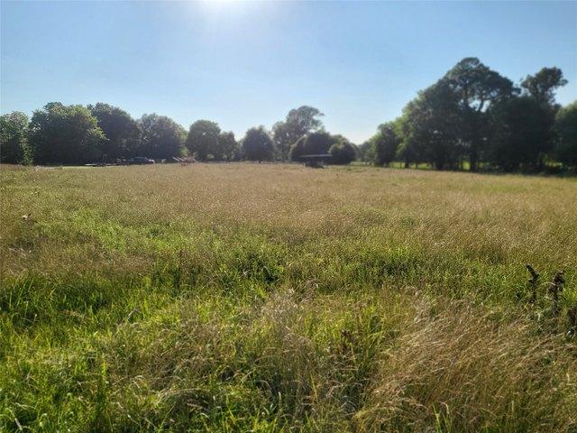 Land for sale in Polk, Texas