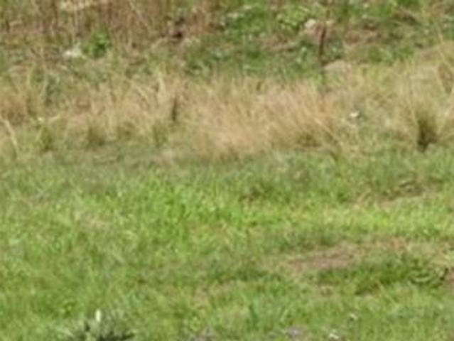 Land for sale in Umgungundlovu, Kwazulu-natal