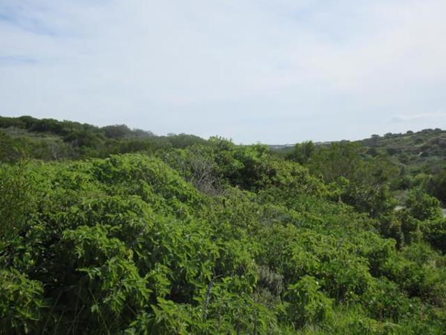 Land for sale in Bushmans River Mouth, Eastern Cape