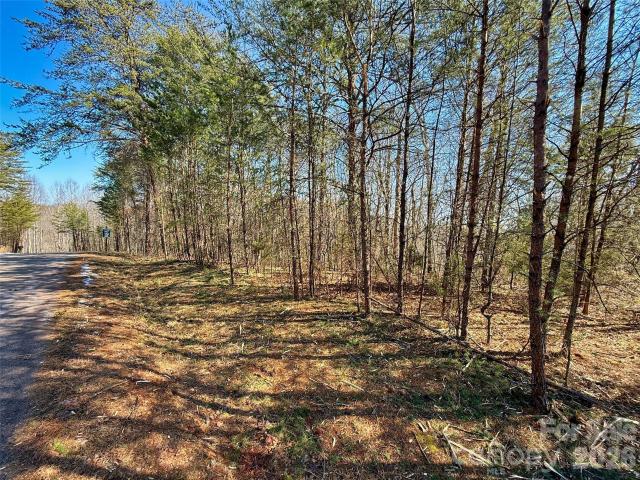 Land for sale in Rutherford, North Carolina