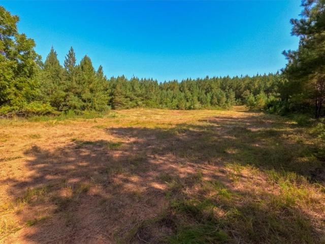 Land for sale in Iva, Anderson County