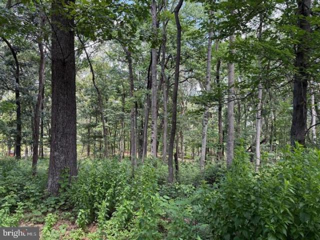 Land for sale in West Virginia