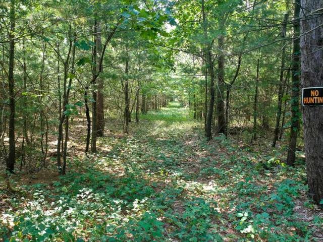 Land for sale in Spring Green, Wisconsin