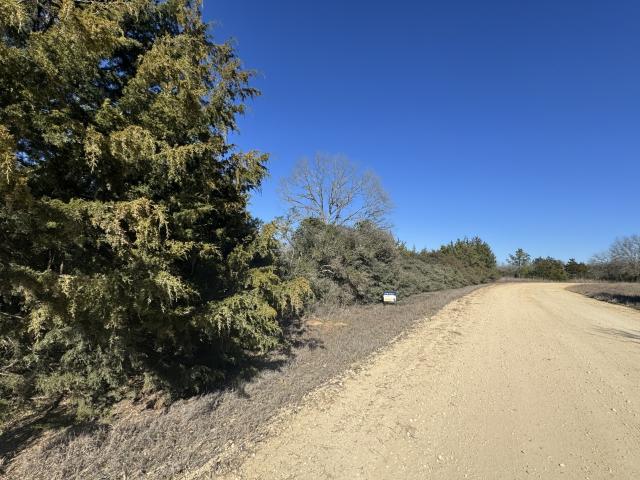 Land for sale in Leon, Texas