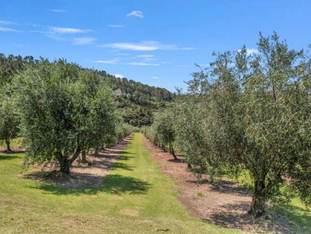 Property for sale in Fairburn, Northland