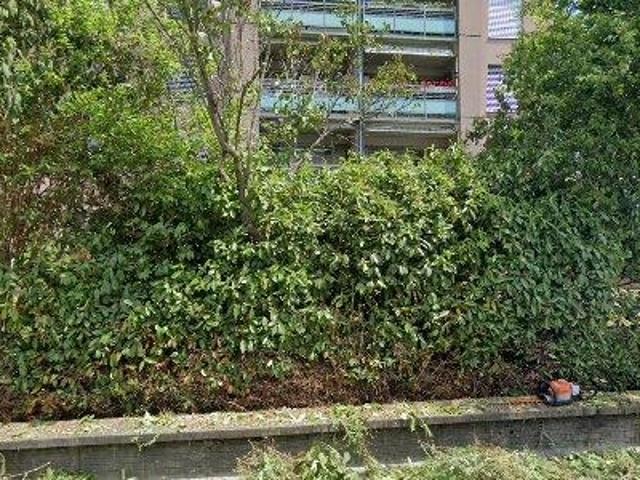 Apartment mieten in Allschwil, Basel-Landschaft