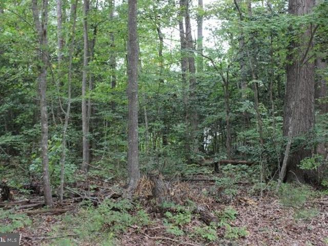 Land for sale in Greenbackville, Accomack County