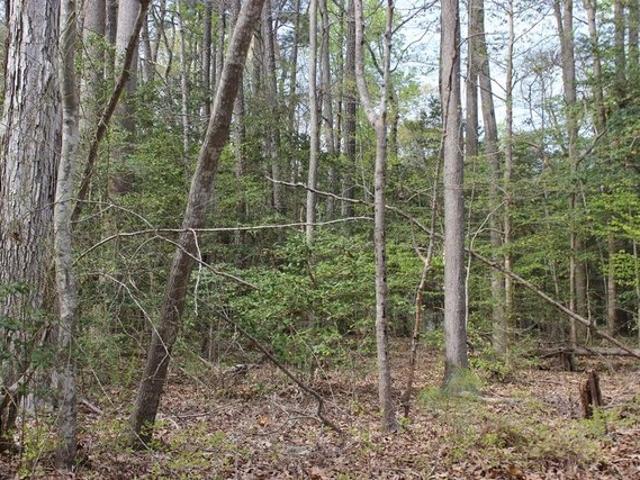 Land for sale in Greenbackville, Accomack County