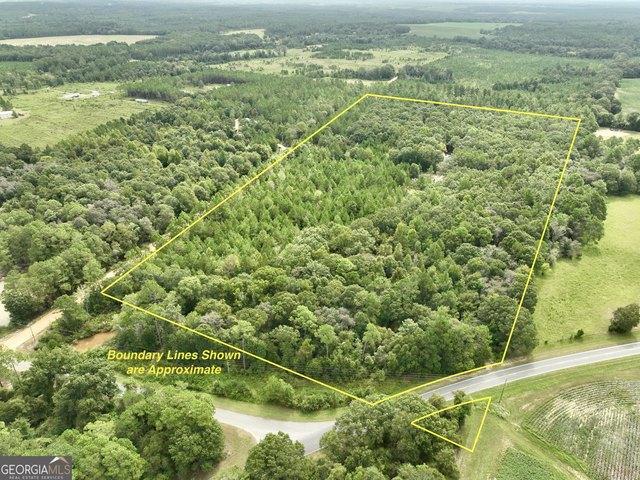 Land for sale in Eastman, Dodge County