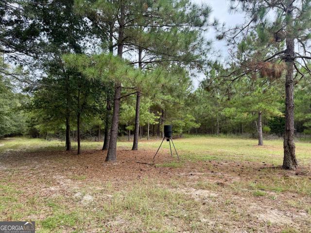Land for sale in Eastman, Pulaski County