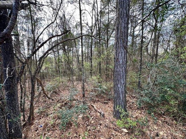 Land for sale in Ellisville, Mississippi