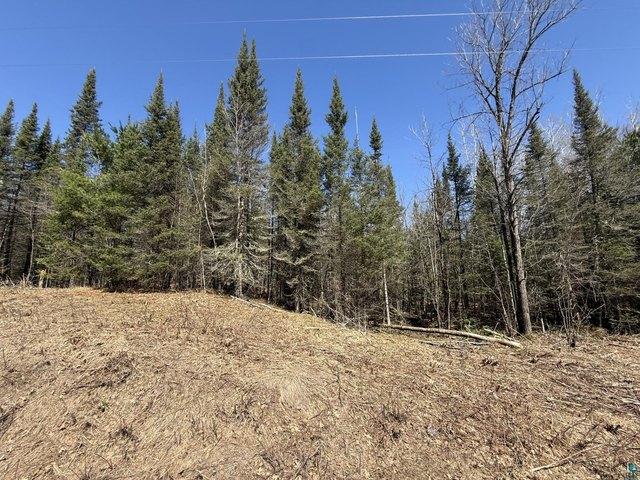 Land for sale in Solon Springs, Wisconsin