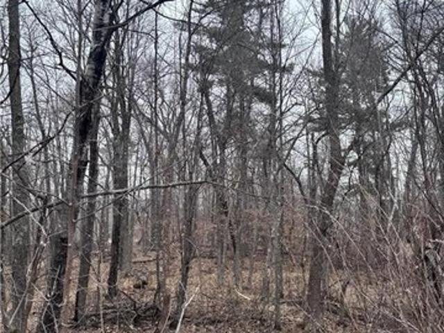 Land for sale in Pequot Lakes, Minnesota