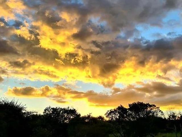 Property for sale in Limpopo