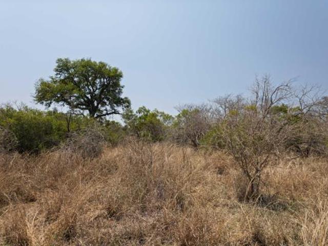 Property for sale in Mopani, Limpopo
