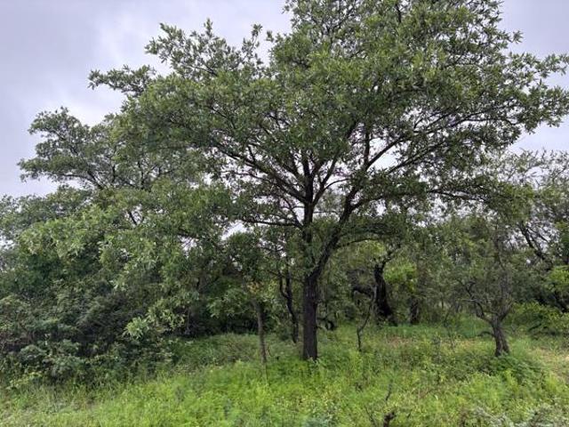 Property for sale in Mopani, Limpopo