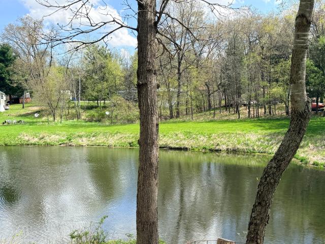 Land for sale in Sublette, Illinois