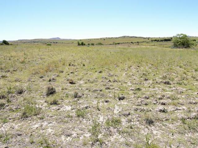 House for sale in Mantsopa, Free State