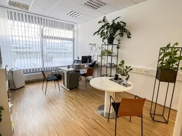 Loft kaufen in Wels, Oberösterreich