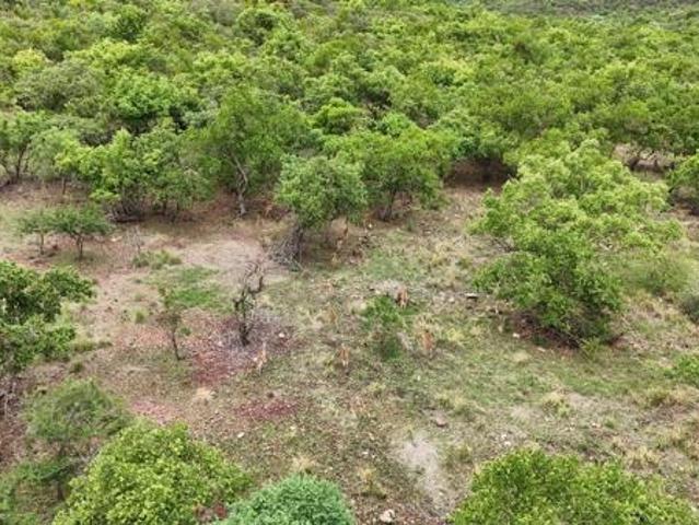 Property for sale in Limpopo