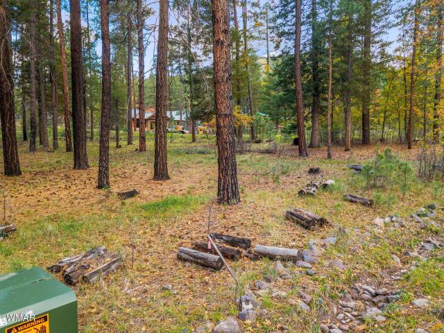 Land for sale in Alpine, Arizona