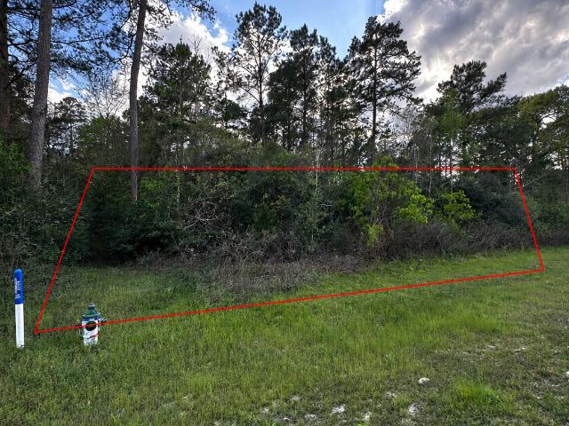 Land for sale in Walker, Texas